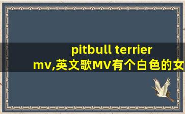 pitbull terrier mv,英文歌MV有个白色的女的和狗头人